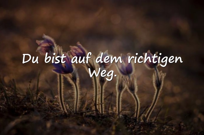 Bilder mit mutmachende sprüche - 16