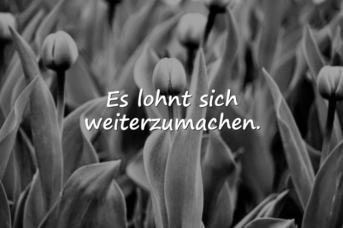 Bilder mit mutmachende sprüche - 12