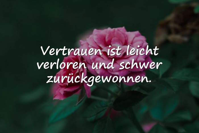 Bilder mit nachdenken sprüche - 17