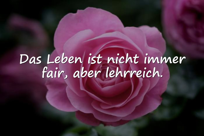 Bilder mit nachdenken sprüche - 13