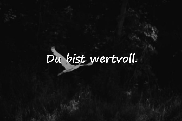 Bilder mit nette sprüche - 5