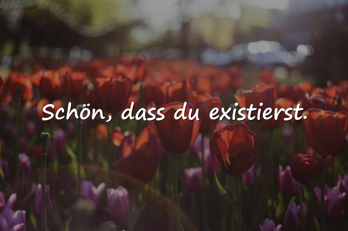 Bilder mit nette sprüche - 3