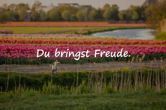 Bilder mit nette sprüche - 21