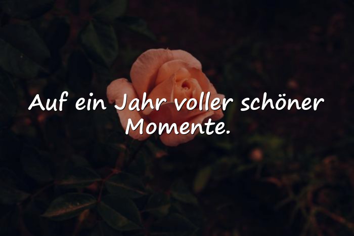 Bilder mit neues jahr sprüche - 15
