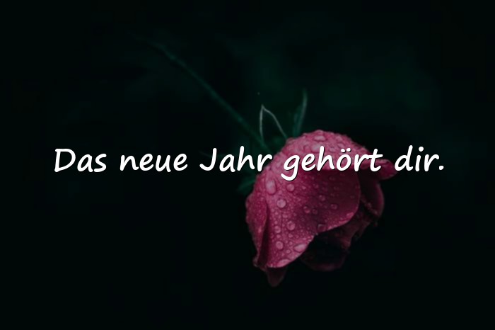 Bilder mit neues jahr sprüche - 6