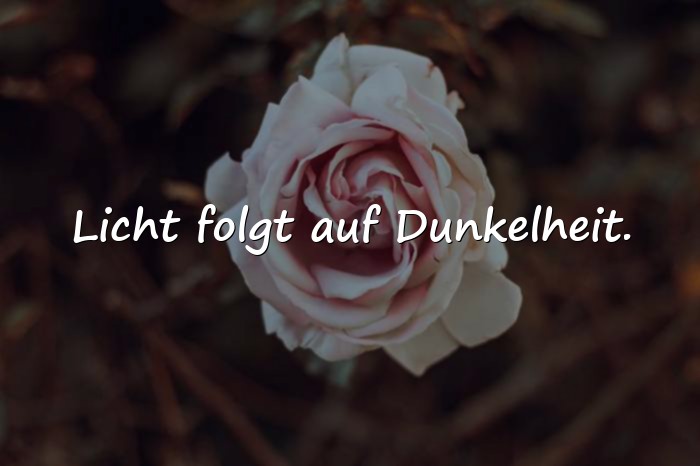 Bilder mit optimismus sprüche - 19