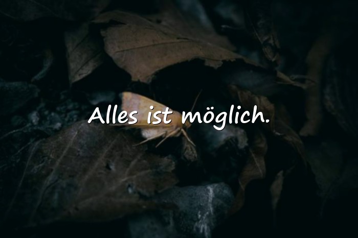 Bilder mit optimismus sprüche - 14