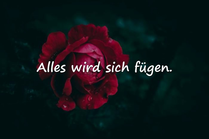 Bilder mit optimismus sprüche - 6