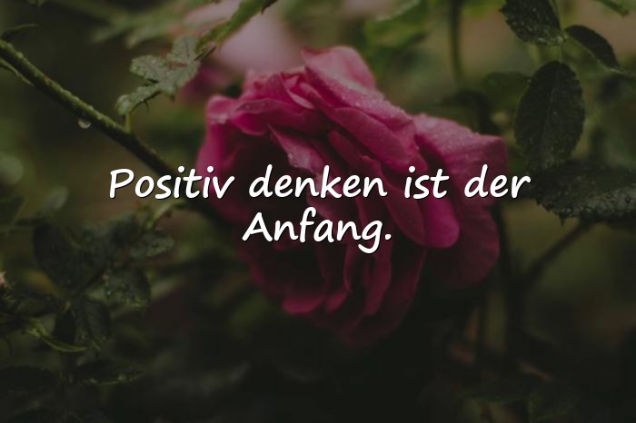 Bilder mit optimismus sprüche - 2