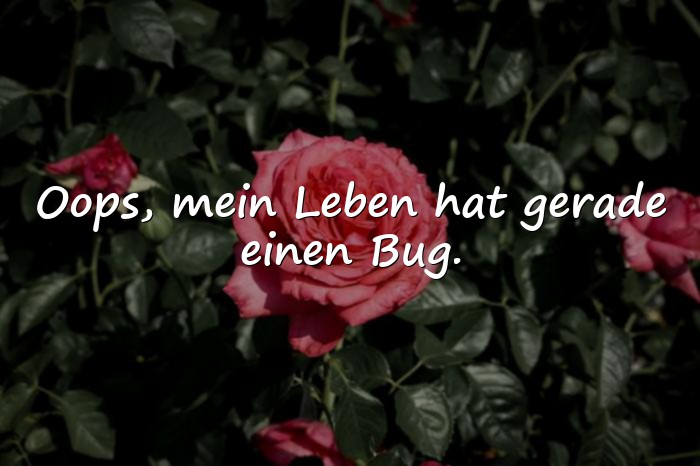 Bilder mit oups sprüche - 6