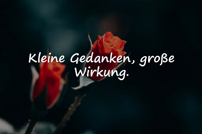 Bilder mit positive gedanken sprüche - 13