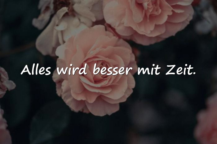 Bilder mit positive gedanken sprüche - 9