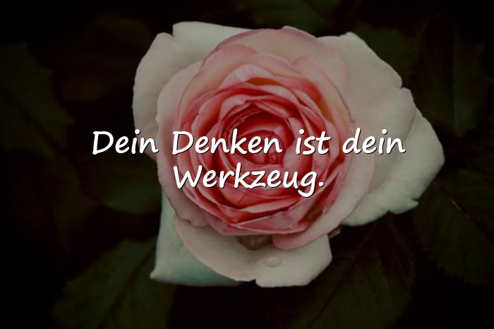 Bilder mit positive gedanken sprüche - 6