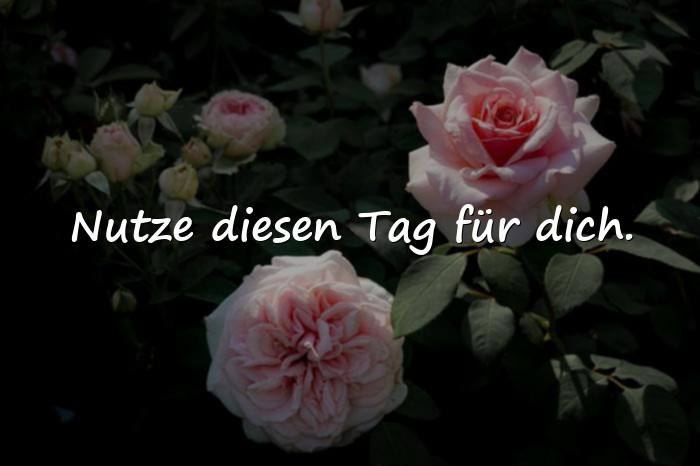 Bilder mit positive sprüche für den tag - 10