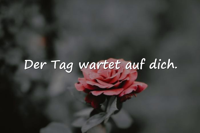 Bilder mit positive sprüche für den tag - 25
