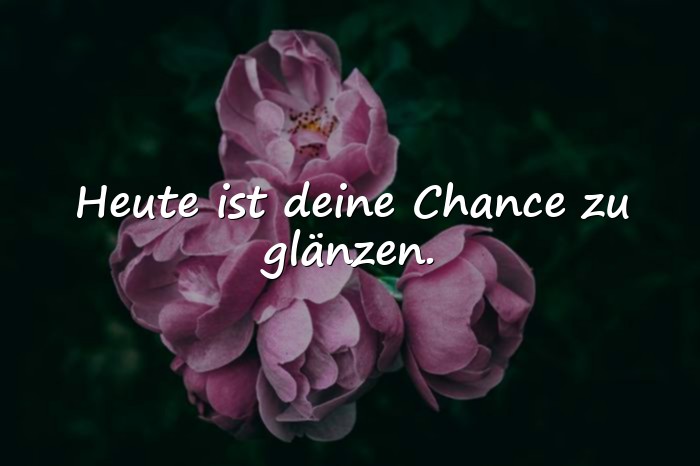 Bilder mit positive sprüche für den tag - 16