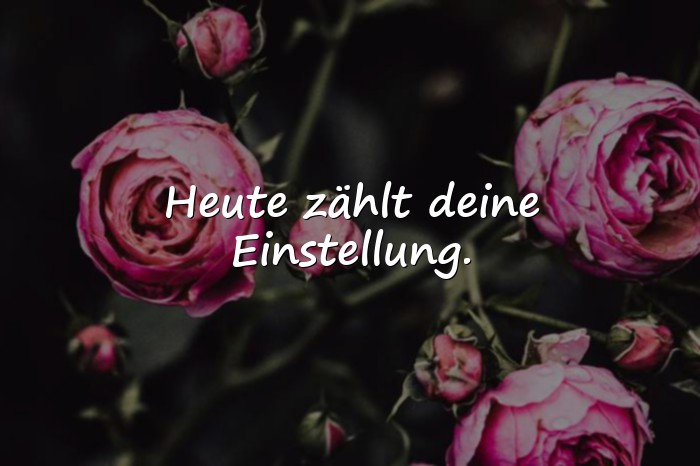 Bilder mit positive sprüche für den tag - 11