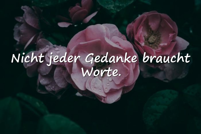 Bilder mit schlaue sprüche - 15