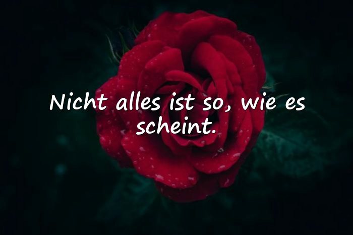 Bilder mit schlaue sprüche - 10