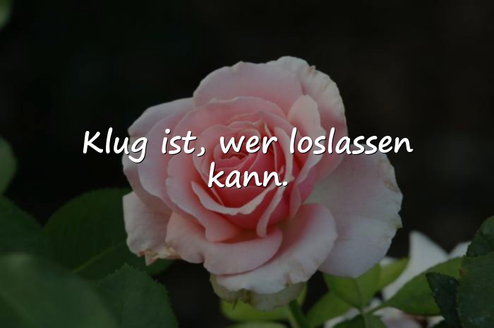 Bilder mit schlaue sprüche - 6
