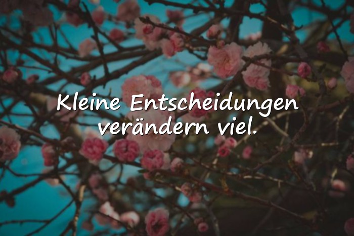Bilder mit schlaue sprüche - 2