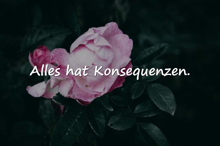 Bilder mit schlaue sprüche - 18
