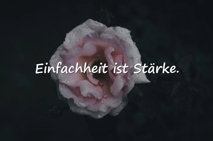 Bilder mit schlaue sprüche - 11