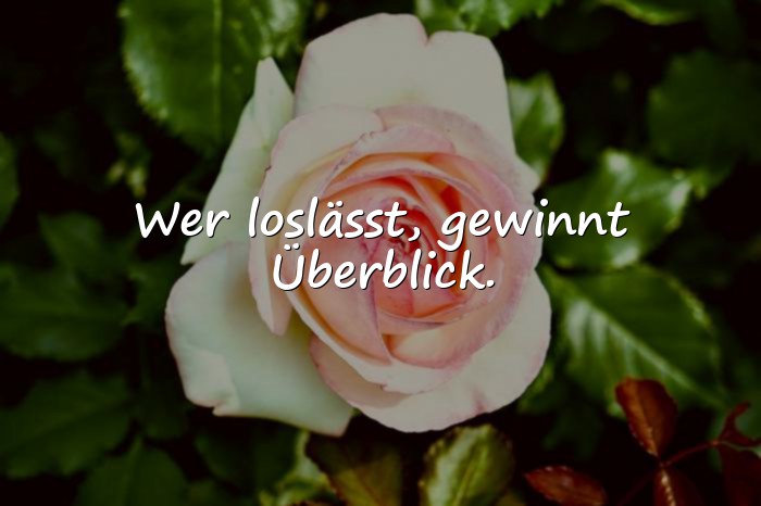 Bilder mit schlaue sprüche - 6