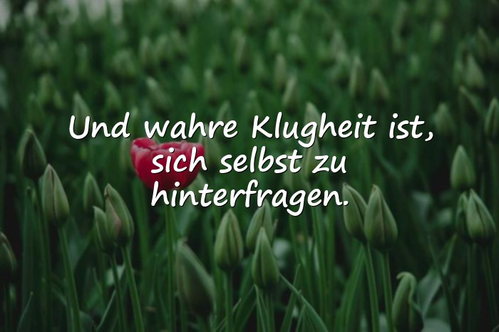 Bilder mit schlaue sprüche - 1