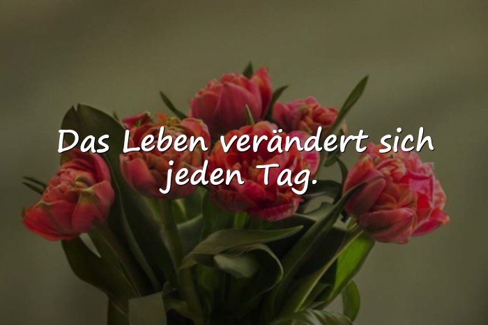 Bilder mit schöne lebenssprüche - 1