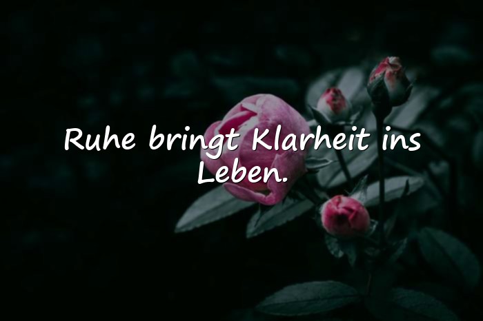 Bilder mit schöne lebenssprüche - 23