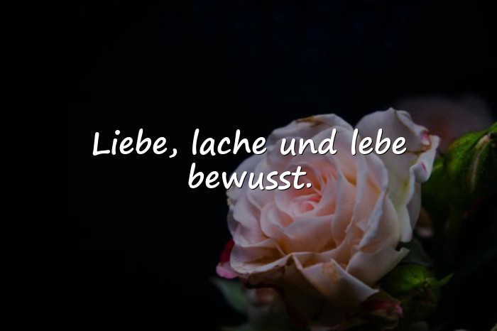 Bilder mit schöne lebenssprüche - 19