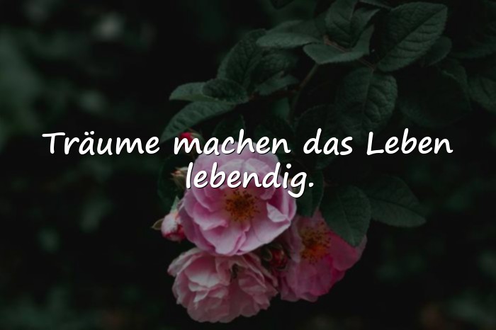 Bilder mit schöne lebenssprüche - 11