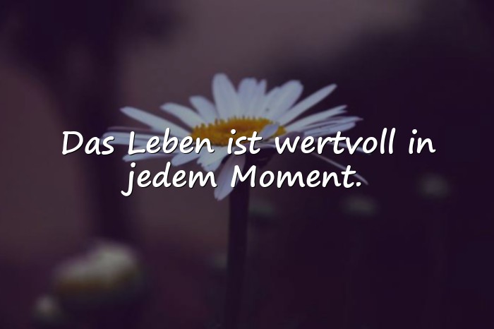 Bilder mit schöne lebenssprüche - 8