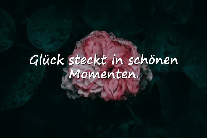 Bilder mit schöne momente sprüche - 10