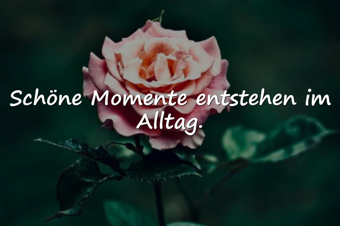 Bilder mit schöne momente sprüche - 5