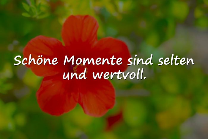 Bilder mit schöne momente sprüche - 15