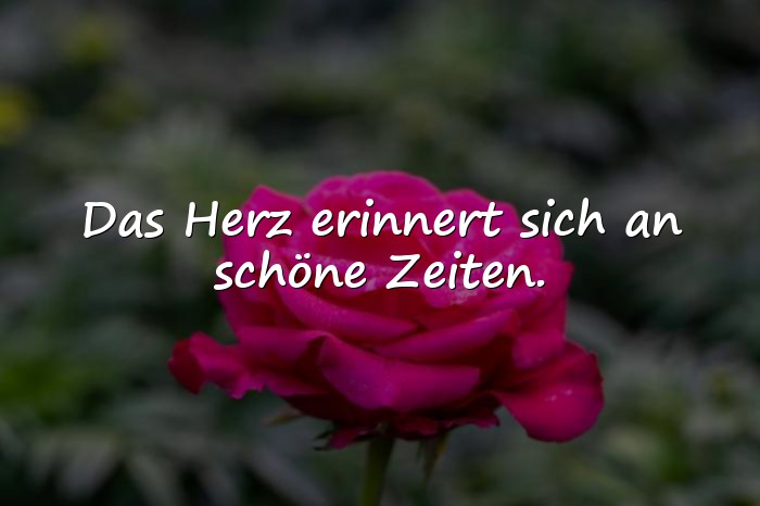 Bilder mit schöne momente sprüche - 10