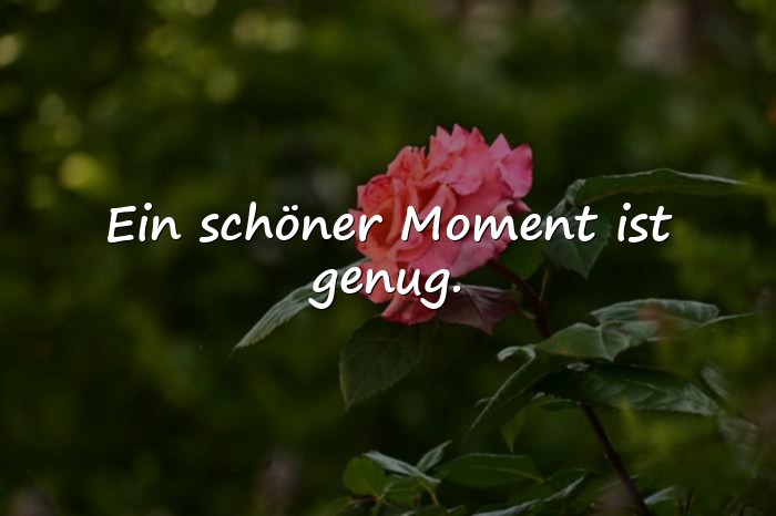 Bilder mit schöne momente sprüche - 6