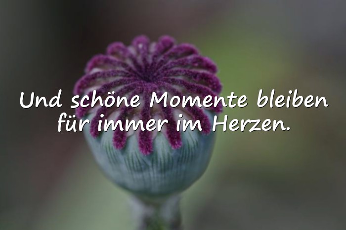 Bilder mit schöne momente sprüche - 1