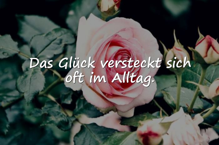 Bilder mit schöne sprüche - 24