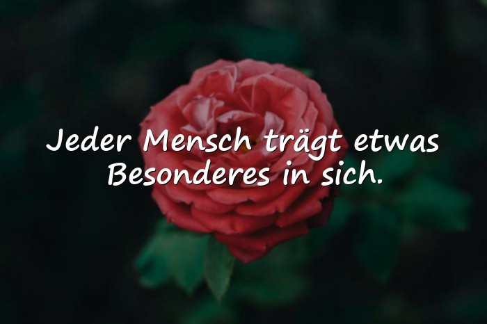 Bilder mit schöne sprüche - 15