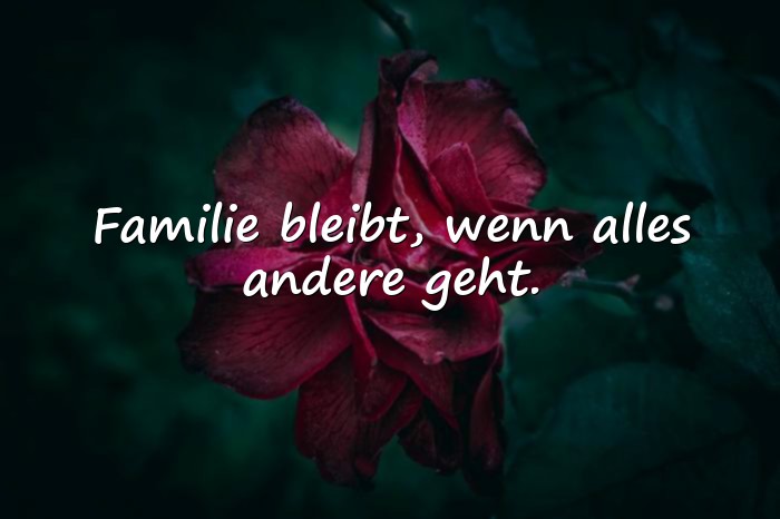 Bilder mit schöne sprüche familie - 9