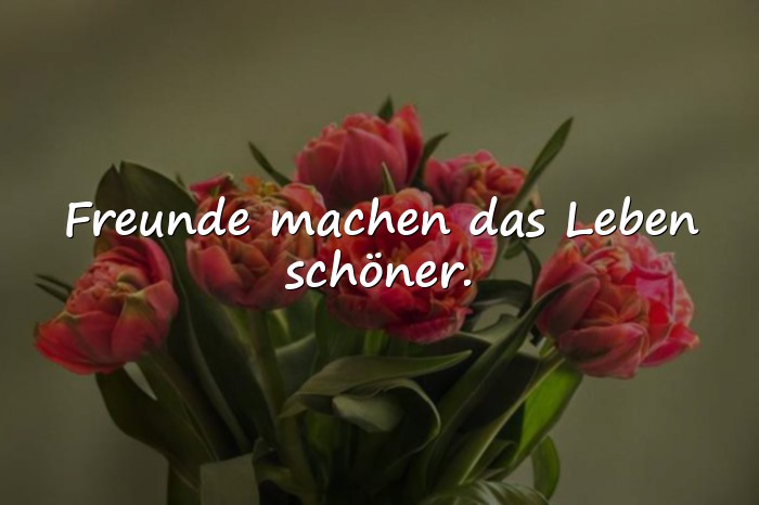 Bilder mit schöne sprüche freundschaft - 23