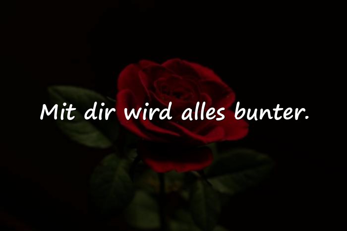 Bilder mit schöne sprüche freundschaft - 17