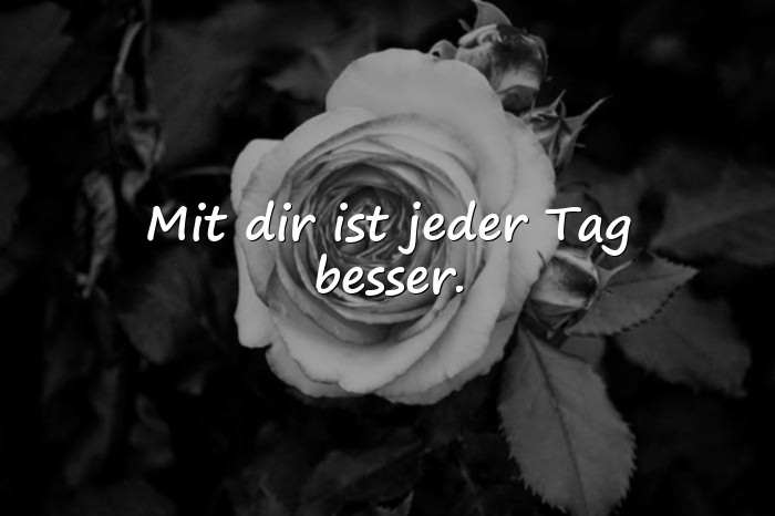 Bilder mit schöne sprüche freundschaft - 4