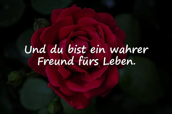 Bilder mit schöne sprüche freundschaft - 1