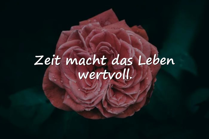 Bilder mit schöne sprüche leben - 3