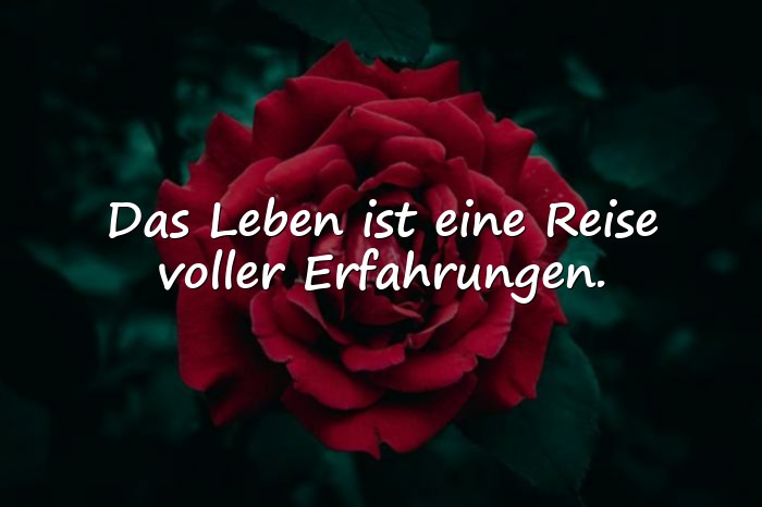 Bilder mit schöne sprüche leben - 23