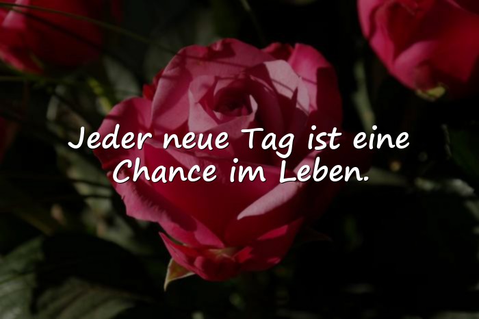 Bilder mit schöne sprüche leben - 18